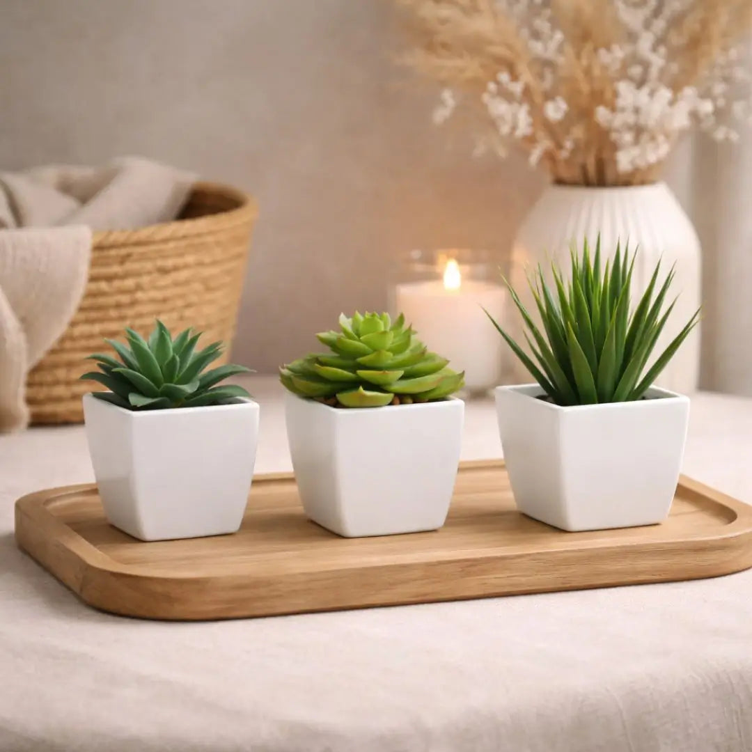 Mini Evergreen Trio Decorative Plants